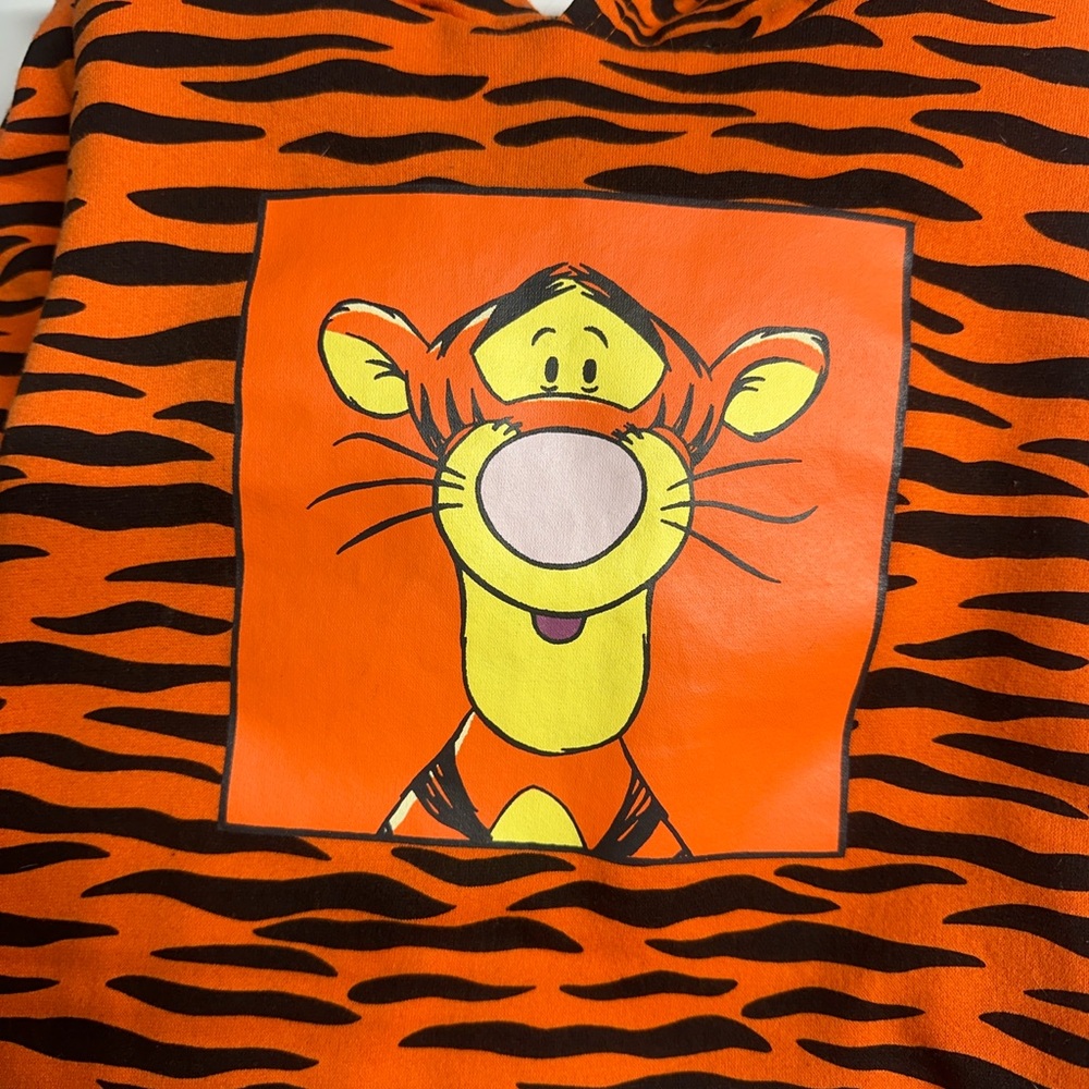 Orange and Black Tigger Hoodie